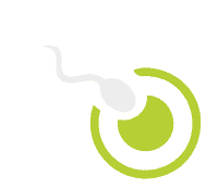 Egg and Sperm Not Joining