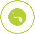 Fertilized Egg Stops Growing