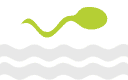 Motility